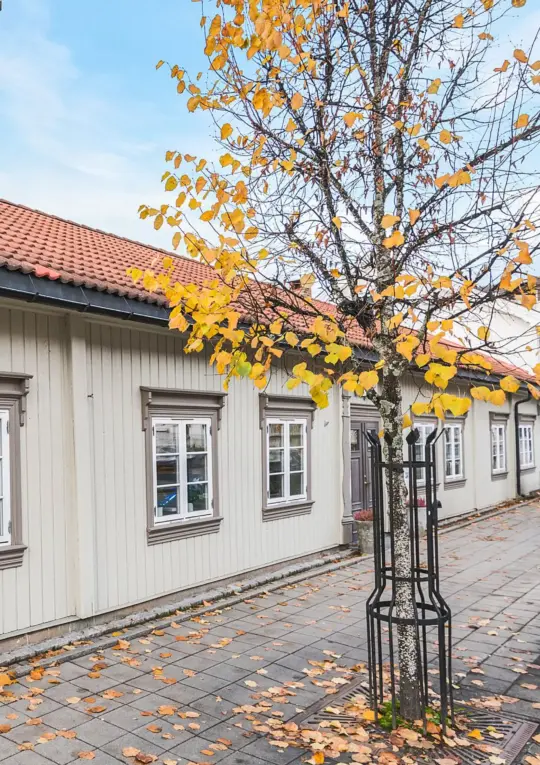 skolegata_13