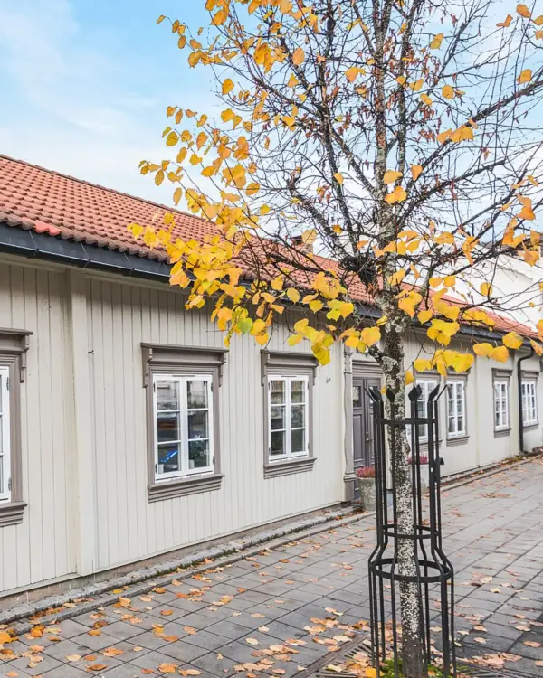 skolegata_13