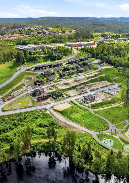 laagenlia_1